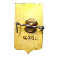 Значок Ростов (вид 2)