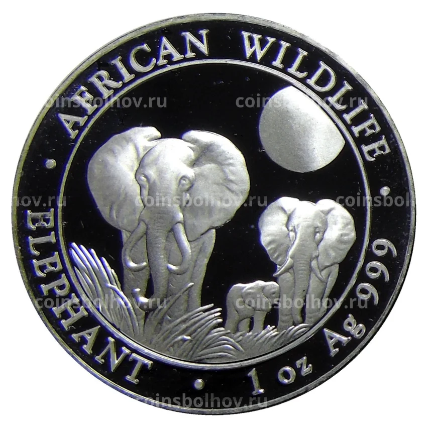 Монета 100 шиллингов 2014 года  Сомали —  Фауна Африки — Африканский слон