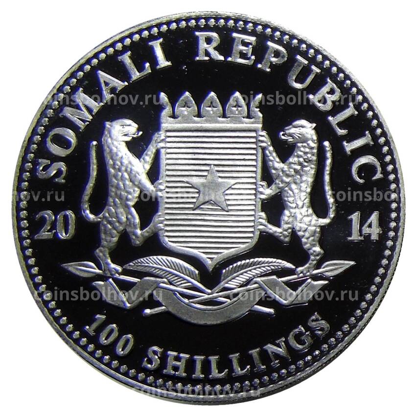 Монета 100 шиллингов 2014 года  Сомали —  Фауна Африки — Африканский слон (вид 2)