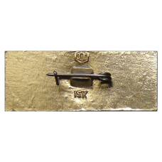 Значок Кострома (вид 2)