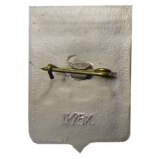 Значок Крестцы (вид 2)