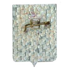 Значок Рославль (вид 2)