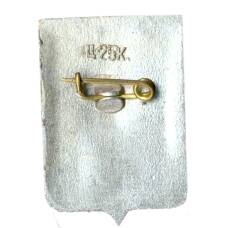 Значок Боровичи (вид 2)