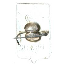 Значок Ростов (вид 2)