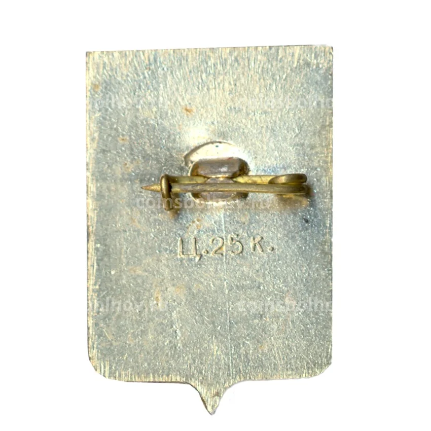 Значок Старая Русса (вид 2)