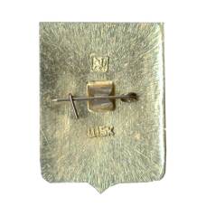 Значок Боровичи (вид 2)