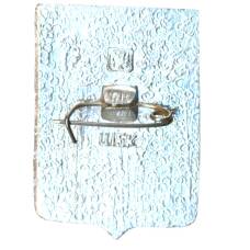 Значок Шацк (вид 2)