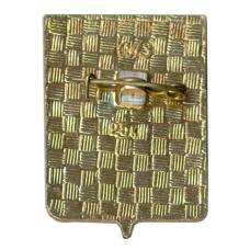 Значок Дорогобуж (вид 2)