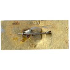 Значок Брянск (вид 2)