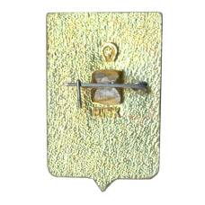 Значок Ростов на Дону (вид 2)