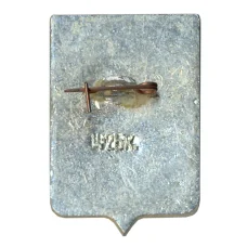 Значок Старая Русса (вид 2)