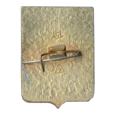 Значок Владимир (вид 2)