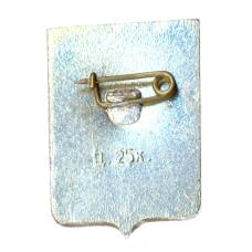 Значок Демянск (вид 2)