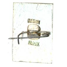 Значок Владимир (вид 2)