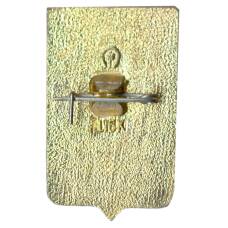 Значок Ростов на Дону (вид 2)