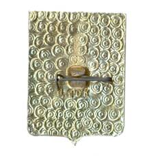 Значок Владимир (вид 2)