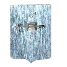 Значок Моршанск (вид 2)