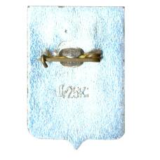 Значок Старая Русса (вид 2)