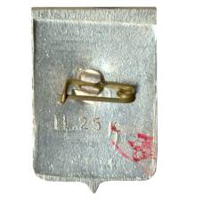 Значок Новгород (вид 2)