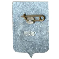 Значок Новгород (вид 2)