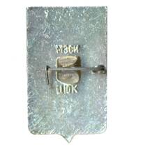 Значок Копейск (вид 2)