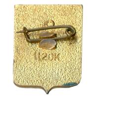 Значок Севастополь (вид 2)