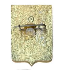 Значок Воронеж (вид 2)