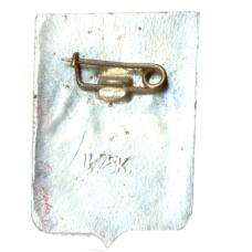 Значок Новгород (вид 2)