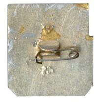 Значок Владимир (вид 2)