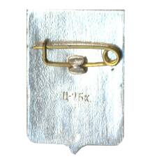 Значок Демянск (вид 2)