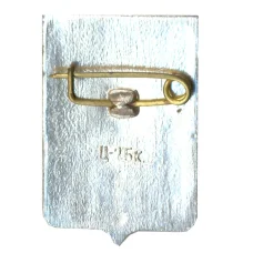 Значок Демянск (вид 2)