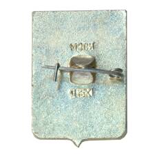 Значок Новосибирск (вид 2)