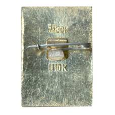 Значок Кострома (вид 2)