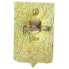 Значок Ростов на Дону (вид 2)