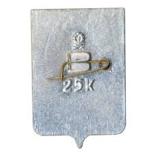 Значок Таганрог (вид 2)