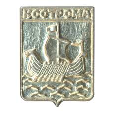 Значок Кострома