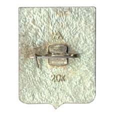 Значок Кострома (вид 2)