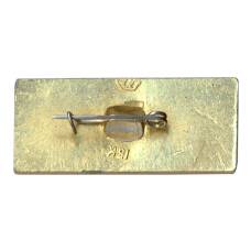 Значок Брянск (вид 2)