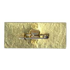 Значок Коломна (вид 2)