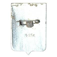 Значок Старая Русса (вид 2)