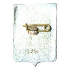 Значок Боровичи (вид 2)