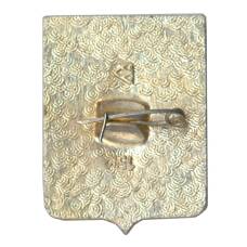 Значок Владимир (вид 2)