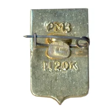 Значок Ростов (вид 2)