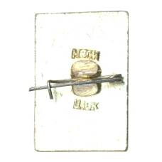 Значок Владимир (вид 2)