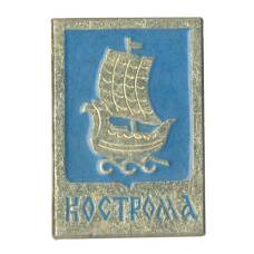 Значок Кострома