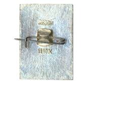 Значок Кострома (вид 2)