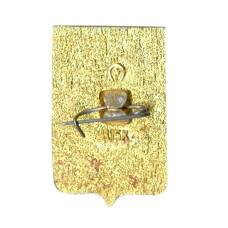 Значок Ростов на Дону (вид 2)