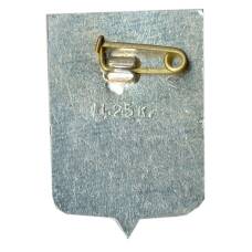 Значок Новгород (вид 2)