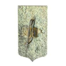 Значок Пенза (вид 2)