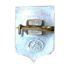 Значок Владимир (вид 2)